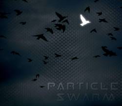 Particle Swarm : Particle Swarm